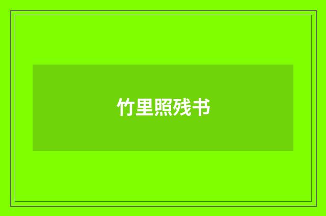 竹里照残书