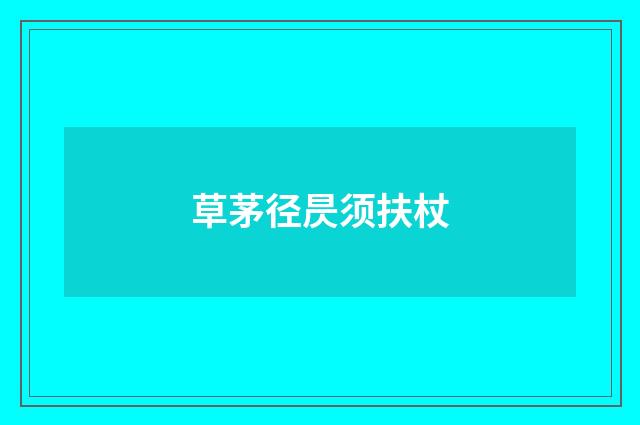 草茅径昃须扶杖