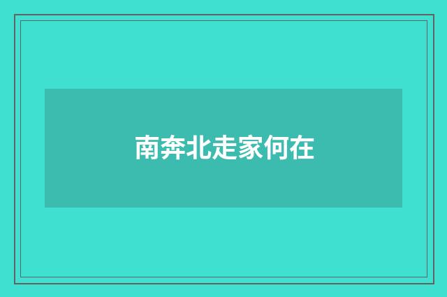 南奔北走家何在