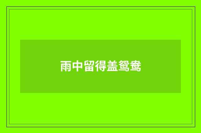 雨中留得盖鸳鸯