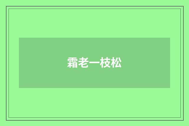 霜老一枝松