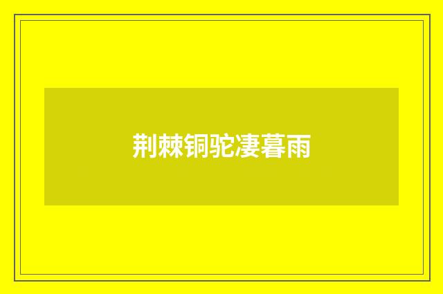 荆棘铜驼凄暮雨