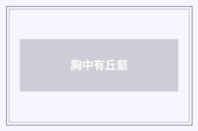 胸中有丘壑