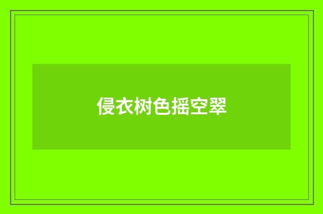 侵衣树色摇空翠