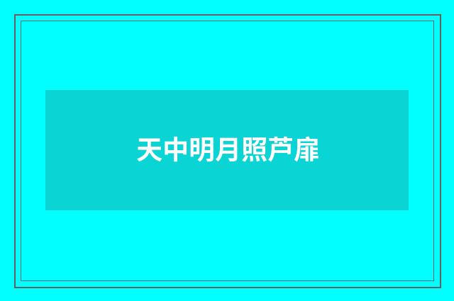 天中明月照芦扉