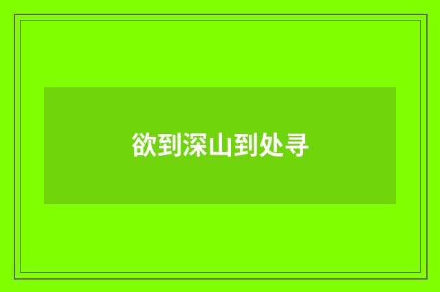 欲到深山到处寻
