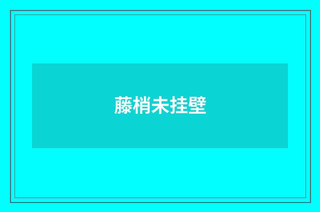 藤梢未挂壁