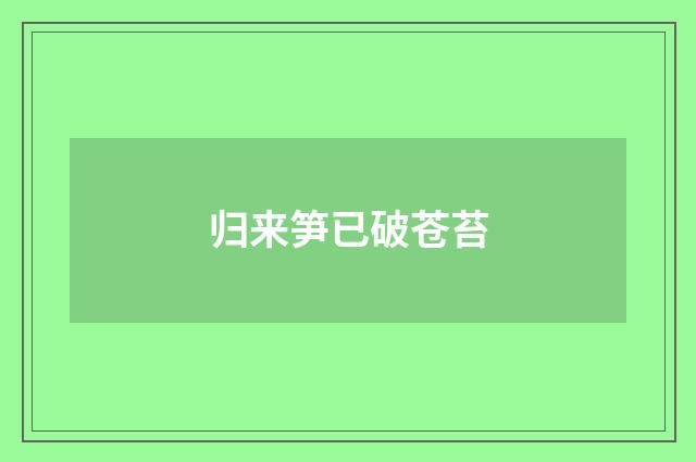 归来笋已破苍苔
