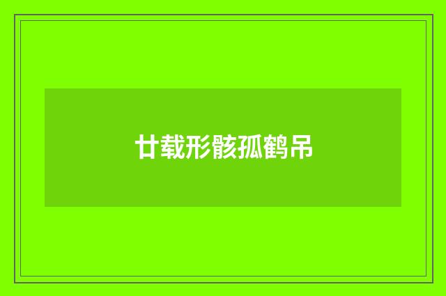 廿载形骸孤鹤吊
