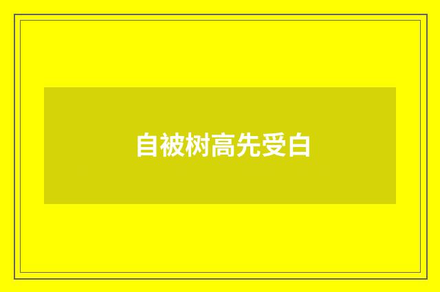 自被树高先受白