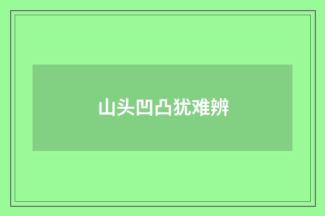 山头凹凸犹难辨
