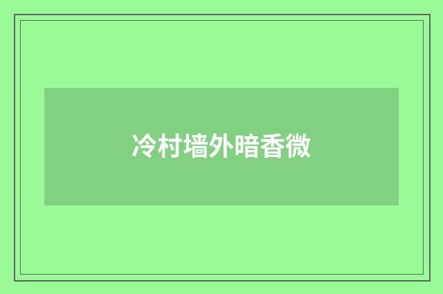 冷村墙外暗香微