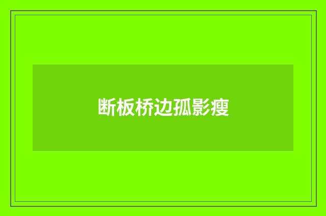 断板桥边孤影瘦