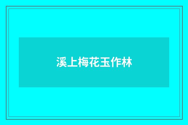溪上梅花玉作林