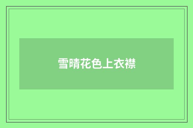 雪晴花色上衣襟