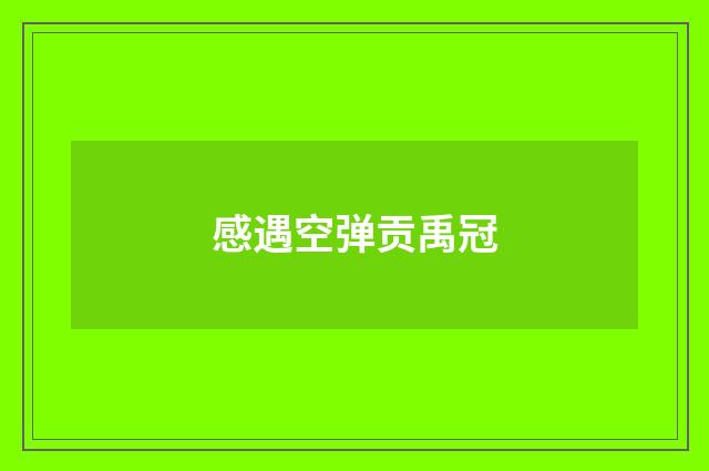 感遇空弹贡禹冠