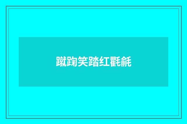 蹴踘笑踏红氍毹