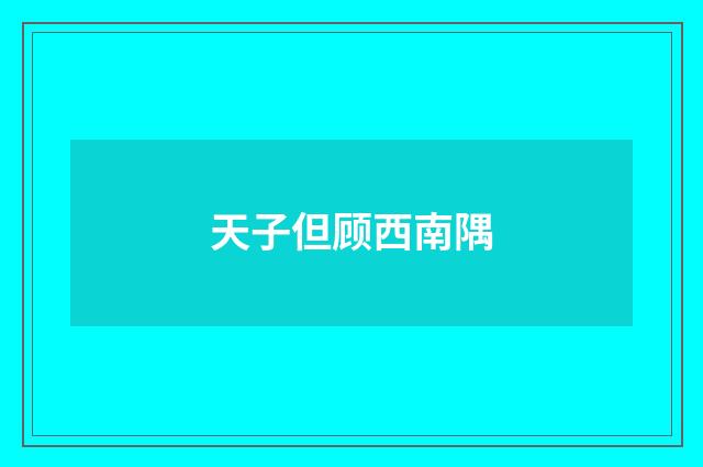 天子但顾西南隅