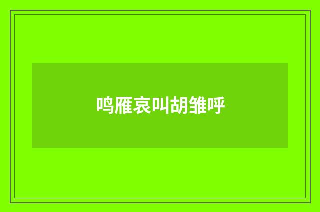 鸣雁哀叫胡雏呼