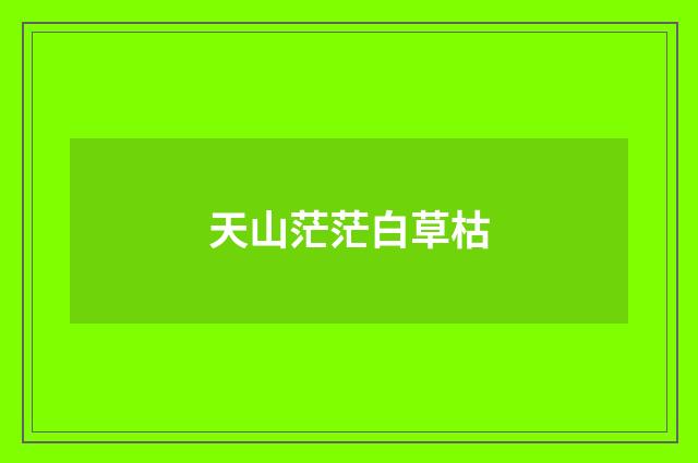 天山茫茫白草枯