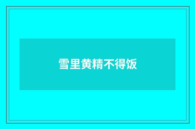 雪里黄精不得饭