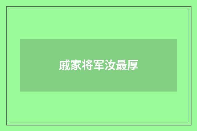 戚家将军汝最厚