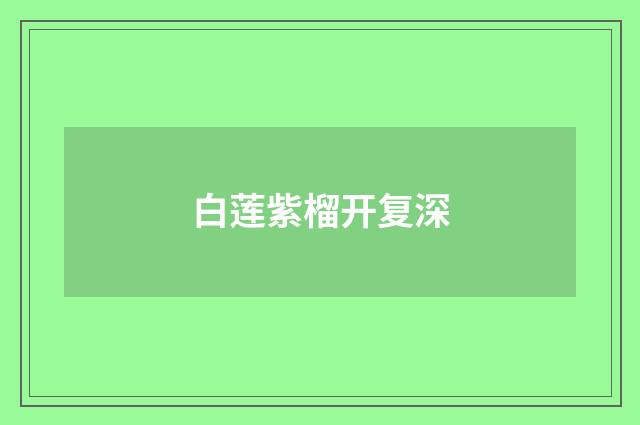 白莲紫榴开复深
