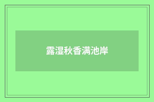 露湿秋香满池岸