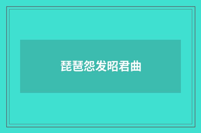 琵琶怨发昭君曲