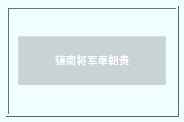 镇南将军奉朝贵