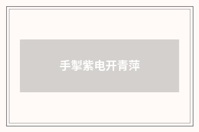 手掣紫电开青萍