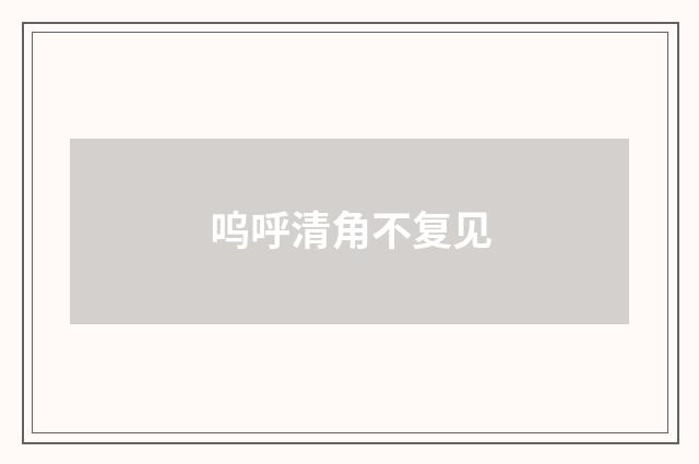 呜呼清角不复见