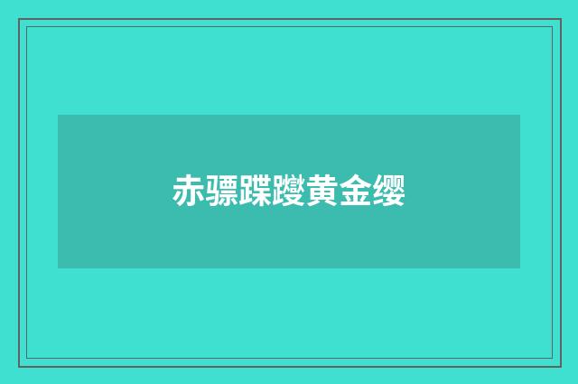 赤骠蹀躞黄金缨
