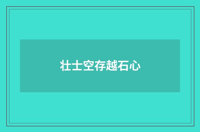 壮士空存越石心