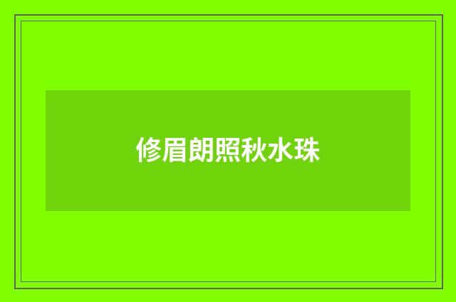 修眉朗照秋水珠