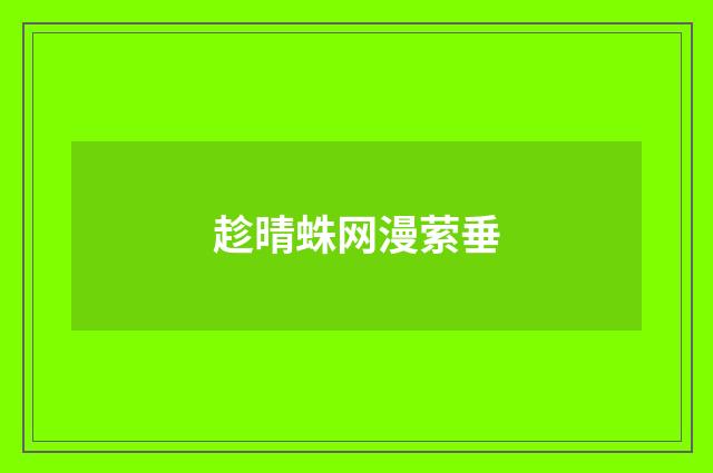 趁晴蛛网漫萦垂