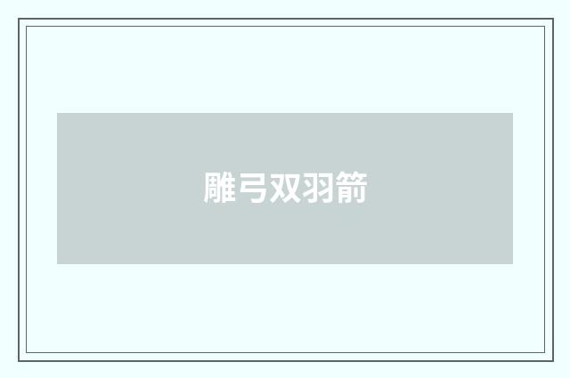 雕弓双羽箭