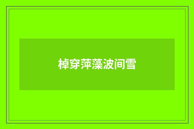 棹穿萍藻波间雪