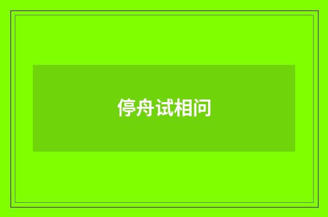 停舟试相问