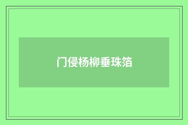 门侵杨柳垂珠箔