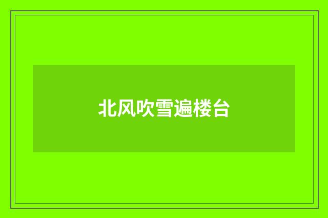 北风吹雪遍楼台