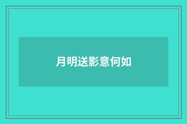 月明送影意何如