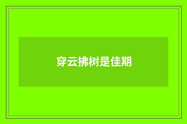 穿云拂树是佳期