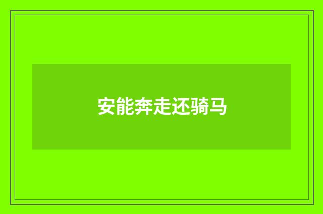 安能奔走还骑马
