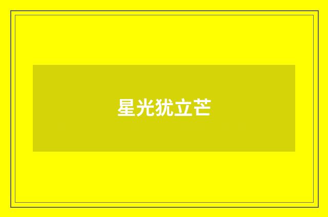 星光犹立芒