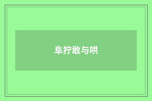 阜狞敢与哄