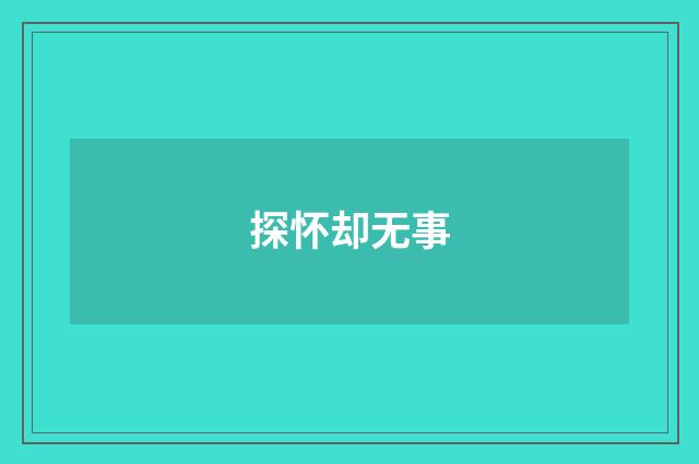 探怀却无事