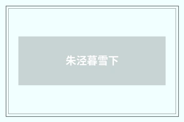 朱泾暮雪下