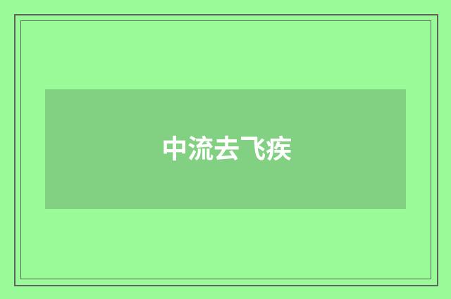 中流去飞疾