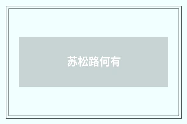 苏松路何有